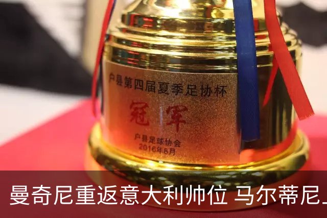 曼奇尼重返意大利帅位 马尔蒂尼上任16天即离职